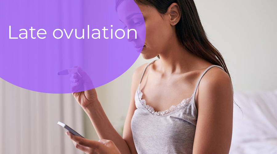 Read more about the article Late ovulation